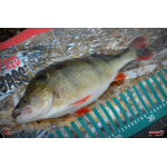 Ripper REDBASS MAGNETO S - 67 mm