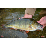Ripper REDBASS MAGNETO S - 67 mm