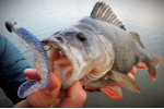 Ripper REDBASS MAGNETO S - 67 mm