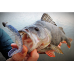 Ripper REDBASS MAGNETO S - 67 mm