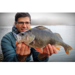 Ripper REDBASS MAGNETO S - 67 mm