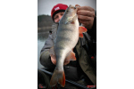 Ripper REDBASS MAGNETO S - 67 mm