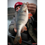 Ripper REDBASS MAGNETO S - 67 mm