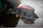 Ripper REDBASS MAGNETO S - 67 mm
