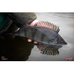 Ripper REDBASS MAGNETO S - 67 mm