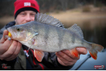 Ripper REDBASS MAGNETO S - 67 mm