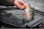 Ripper REDBASS MAGNETO S - 67 mm