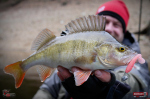 Ripper REDBASS MAGNETO S - 67 mm