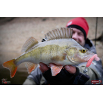 Ripper REDBASS MAGNETO S - 67 mm