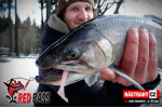 Ripper REDBASS MAGNETO S - 67 mm