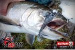 Ripper REDBASS MAGNETO S - 67 mm