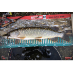 Ripper REDBASS MAGNETO S - 67 mm