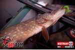 Ripper REDBASS MAGNETO S - 67 mm