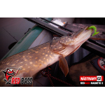 Ripper REDBASS MAGNETO S - 67 mm