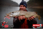 Ripper REDBASS MAGNETO S - 67 mm