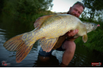 Ripper REDBASS MAGNETO S - 67 mm