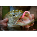 Ripper REDBASS MAGNETO S - 67 mm