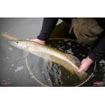 Ripper REDBASS MAGNETO S - 67 mm