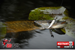 Ripper REDBASS MAGNETO S - 67 mm