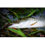 Ripper REDBASS MAGNETO S - 67 mm