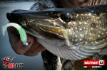Ripper REDBASS MAGNETO S - 67 mm