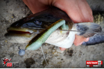 Ripper REDBASS MAGNETO S - 67 mm