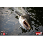 Ripper REDBASS MAGNETO S - 67 mm