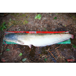 Ripper REDBASS MAGNETO S - 67 mm