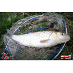 Ripper REDBASS MAGNETO S - 67 mm