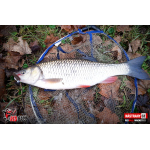 Ripper REDBASS MAGNETO S - 67 mm