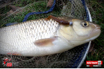 Ripper REDBASS MAGNETO S - 67 mm