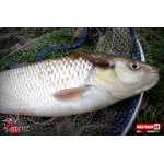 Ripper REDBASS MAGNETO S - 67 mm