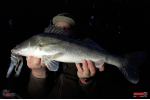 Nymfa REDBASS Nr. 1 XX - 155 mm - 1 ks