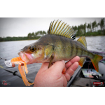 Nymfa REDBASS Nr. 1 XXL - 200 mm - 1 ks