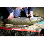 Nymfa REDBASS Nr. 1 XXL - 200 mm - 1 ks