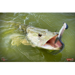 Nymfa REDBASS Nr. 1 XXL - 200 mm - 1 ks