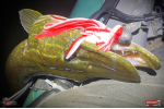 Nymfa REDBASS Nr. 1 XX - 155 mm - 1 ks