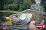 Nymfa REDBASS Nr. 1 L - 80 mm - balenie 5 ks