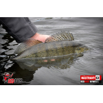 Nymfa REDBASS Nr. 1 L - 80 mm - 1 ks