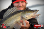 Nymfa REDBASS Nr. 1 L - 80 mm - balenie 5 ks
