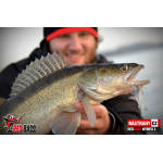 Nymfa REDBASS Nr. 1 L - 80 mm - 1 ks