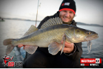Nymfa REDBASS Nr. 1 L - 80 mm - balenie 5 ks