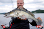 Nymfa REDBASS Nr. 1 L - 80 mm - balenie 5 ks