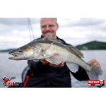 Nymfa REDBASS Nr. 1 L - 80 mm - 1 ks