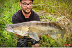 Nymfa REDBASS Nr. 1 L - 80 mm - balenie 5 ks