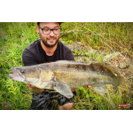 Nymfa REDBASS Nr. 1 L - 80 mm - 1 ks