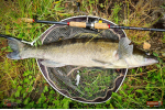 Nymfa REDBASS Nr. 1 L - 80 mm - balenie 5 ks