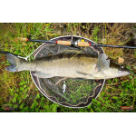 Nymfa REDBASS Nr. 1 L - 80 mm - 1 ks