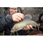 Nymfa REDBASS Nr. 1 L - 80 mm - 1 ks