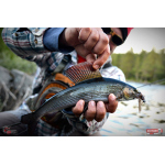 Nymfa REDBASS Nr. 1 L - 80 mm - 1 ks